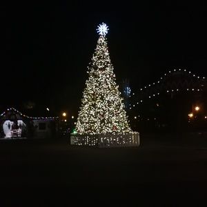 Meet your Posher, Zhu